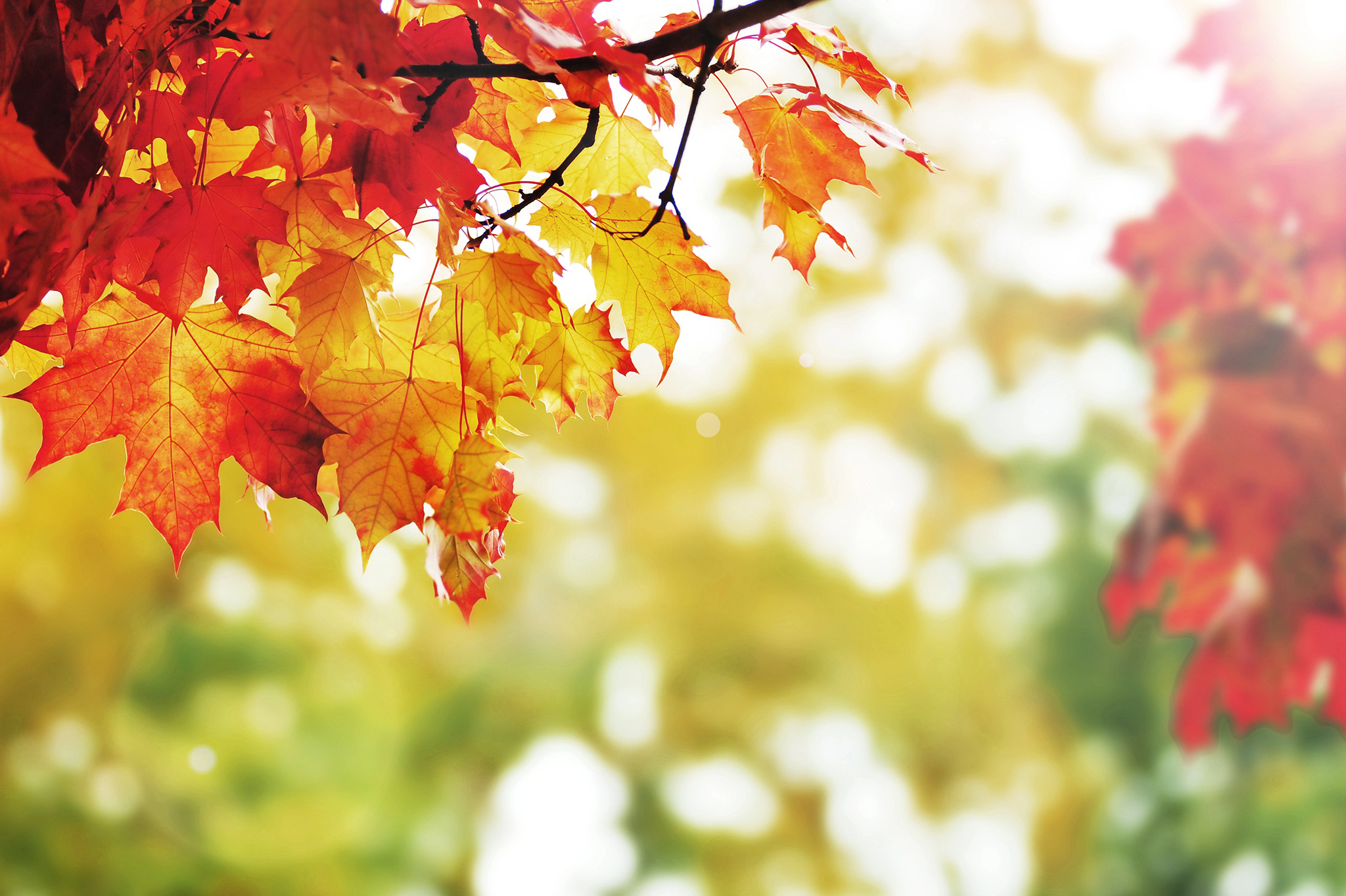 Help with Funeral Costs in Scotland Frazer Hare Funeral Directors